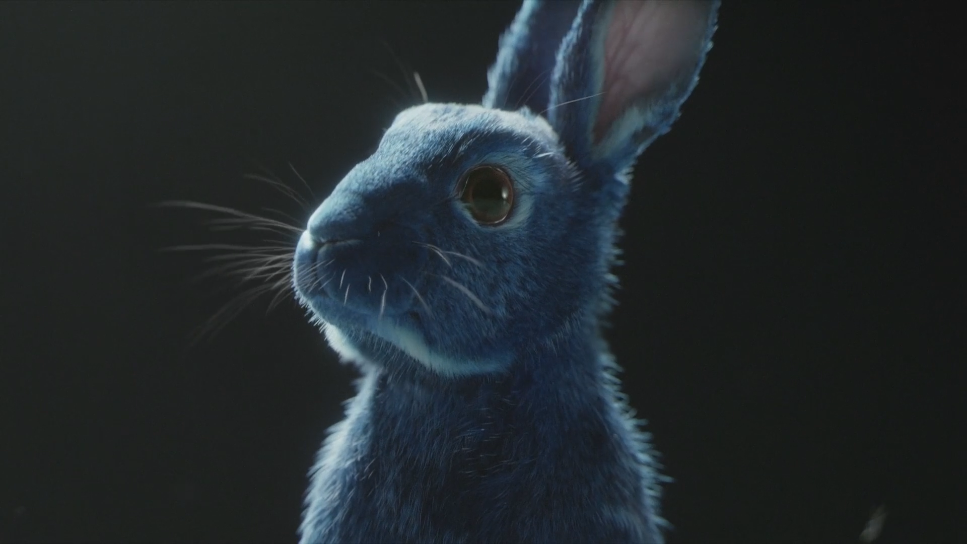 O2 'Follow the Rabbit' (Commercial / 2017) - Zerply